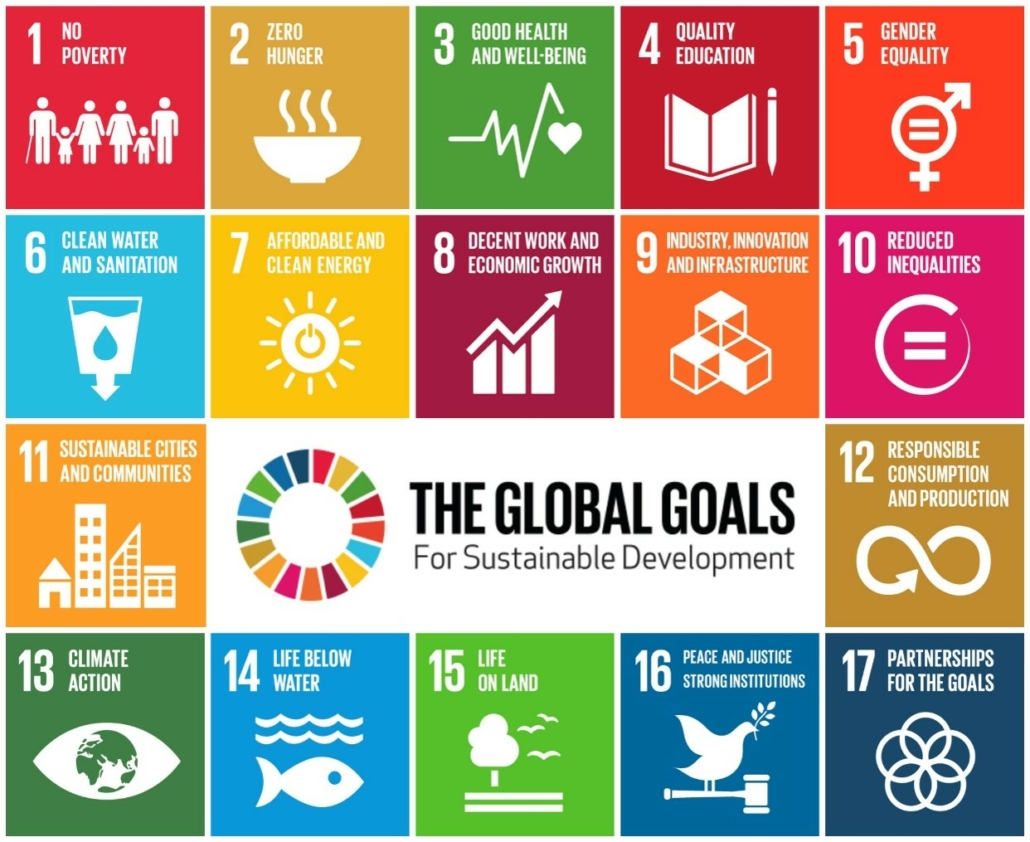 The Global Goals for Sustainable Development 2.0